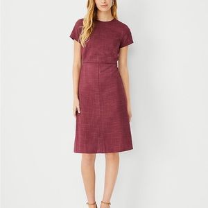 NWT Ann Taylor beautiful dark pink shift